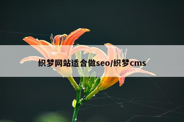 织梦网站适合做seo/织梦cms