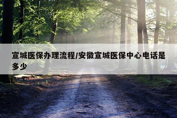 宣城医保办理流程/安徽宣城医保中心电话是多少