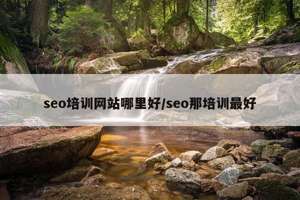 seo培训网站哪里好/seo那培训最好