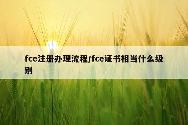 fce注册办理流程/fce证书相当什么级别