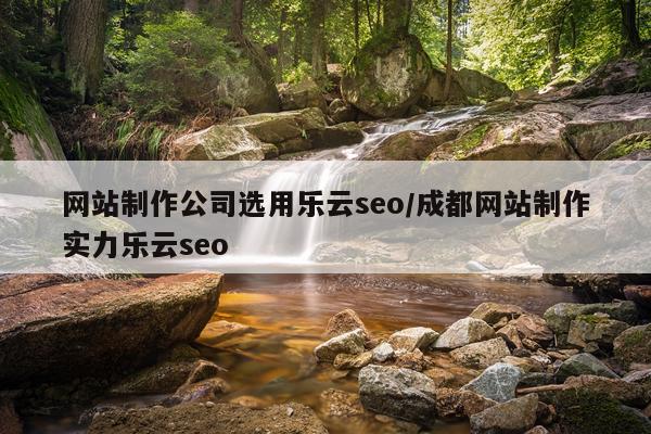 网站制作公司选用乐云seo/成都网站制作实力乐云seo