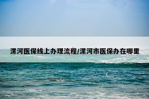 漯河医保线上办理流程/漯河市医保办在哪里