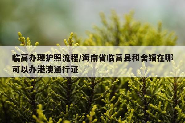 临高办理护照流程/海南省临高县和舍镇在哪可以办港澳通行证
