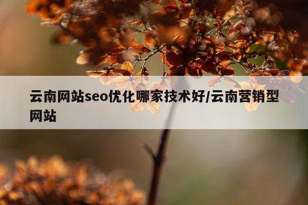 云南网站seo优化哪家技术好/云南营销型网站