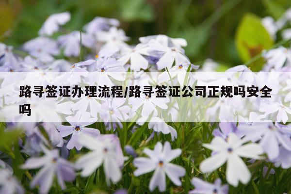 路寻签证办理流程/路寻签证公司正规吗安全吗