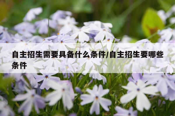 自主招生需要具备什么条件/自主招生要哪些条件