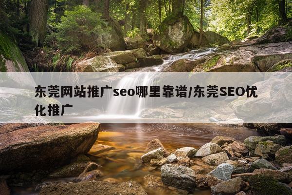 东莞网站推广seo哪里靠谱/东莞SEO优化推广