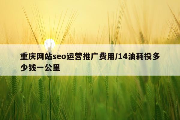 重庆网站seo运营推广费用/14油耗投多少钱一公里