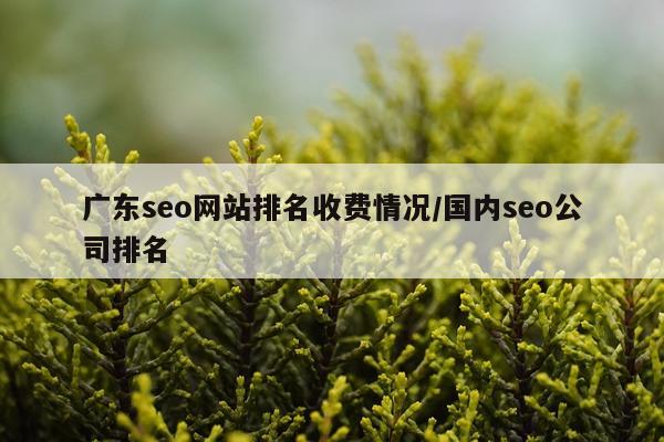 广东seo网站排名收费情况/国内seo公司排名