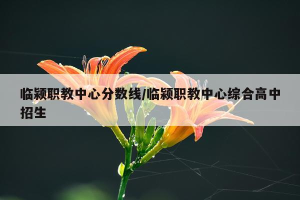 临颍职教中心分数线/临颍职教中心综合高中招生