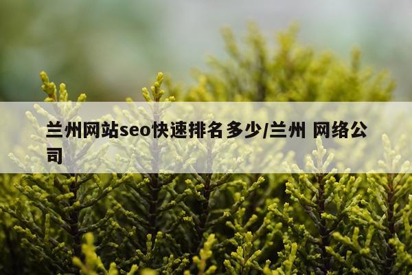 兰州网站seo快速排名多少/兰州 网络公司