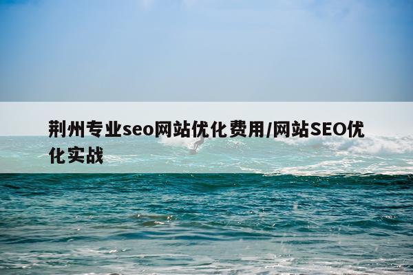 荆州专业seo网站优化费用/网站SEO优化实战