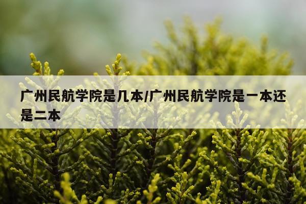 广州民航学院是几本/广州民航学院是一本还是二本