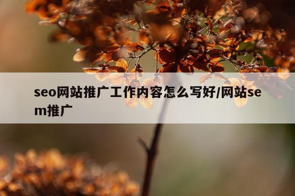 seo网站推广工作内容怎么写好/网站sem推广