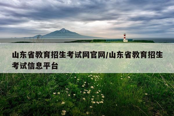 山东省教育招生考试网官网/山东省教育招生考试信息平台