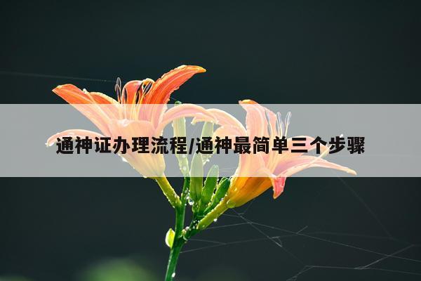 通神证办理流程/通神最简单三个步骤