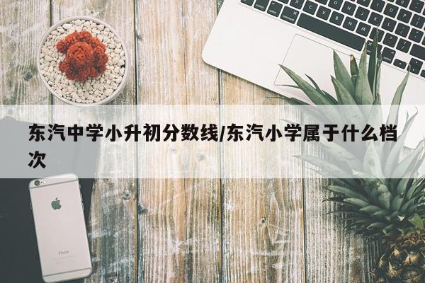东汽中学小升初分数线/东汽小学属于什么档次