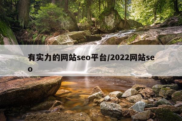 有实力的网站seo平台/2022网站seo