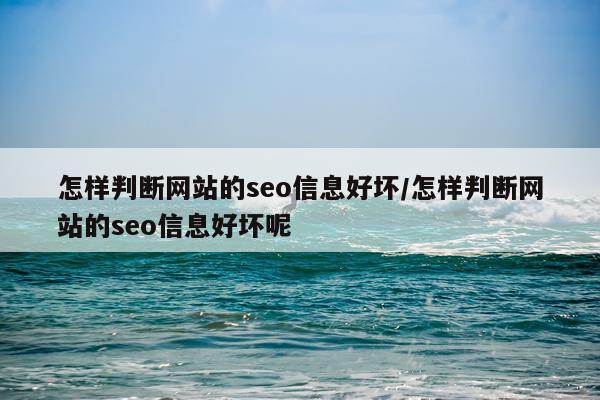 怎样判断网站的seo信息好坏/怎样判断网站的seo信息好坏呢