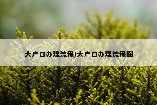 大户口办理流程/大户口办理流程图