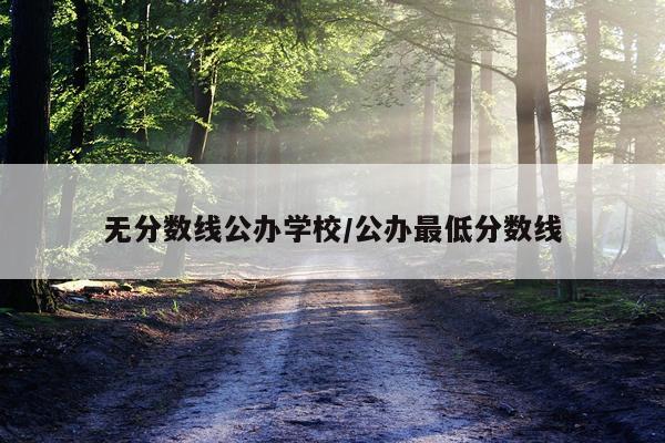 无分数线公办学校/公办最低分数线