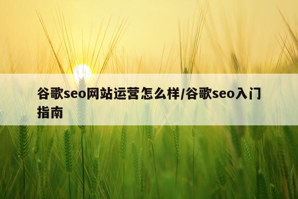 谷歌seo网站运营怎么样/谷歌seo入门指南