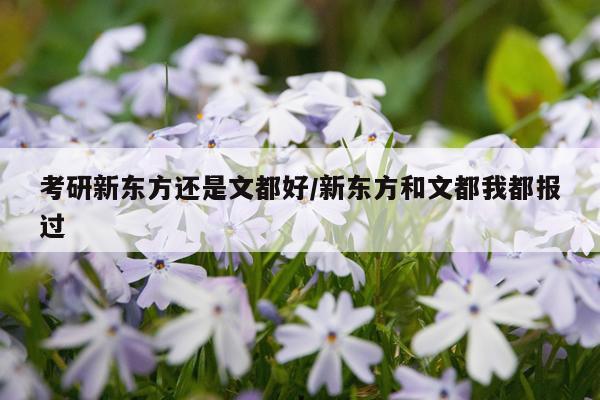 考研新东方还是文都好/新东方和文都我都报过