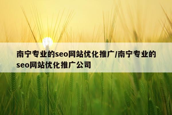 南宁专业的seo网站优化推广/南宁专业的seo网站优化推广公司