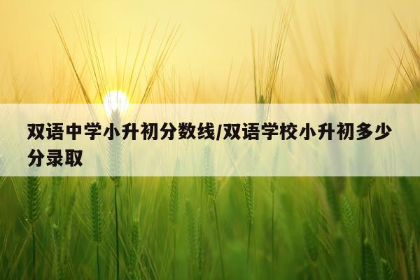 双语中学小升初分数线/双语学校小升初多少分录取