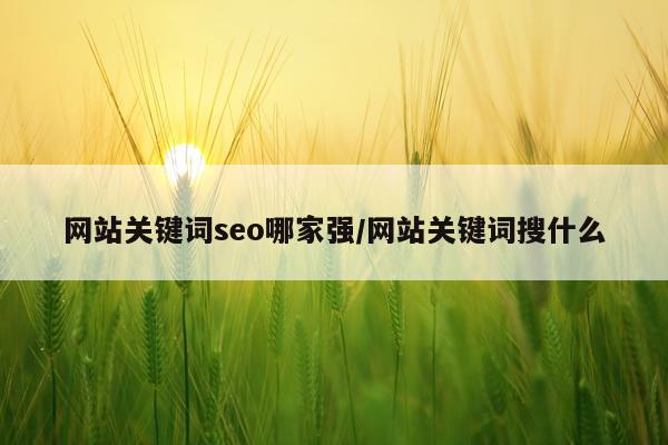 网站关键词seo哪家强/网站关键词搜什么