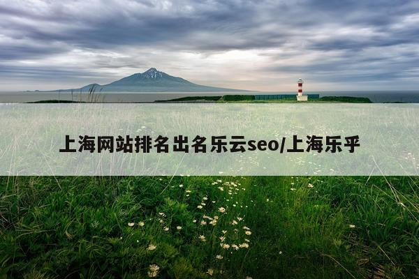 上海网站排名出名乐云seo/上海乐乎