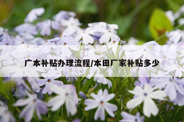 广本补贴办理流程/本田厂家补贴多少