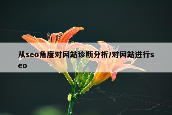 从seo角度对网站诊断分析/对网站进行seo