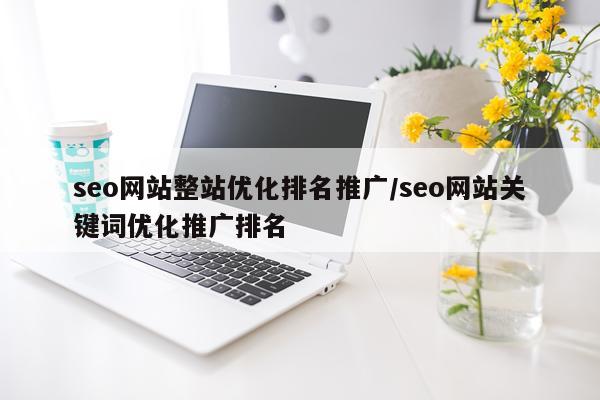 seo网站整站优化排名推广/seo网站关键词优化推广排名