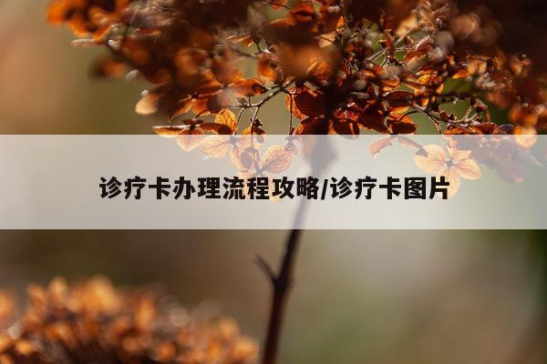 诊疗卡办理流程攻略/诊疗卡图片