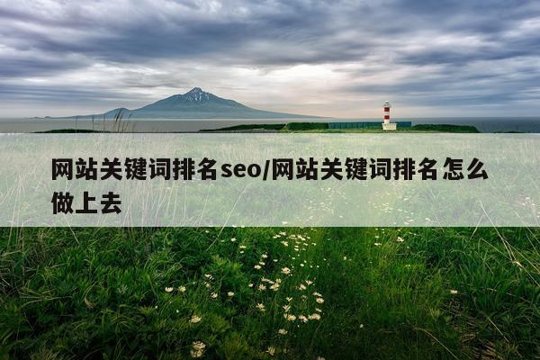 网站关键词排名seo/网站关键词排名怎么做上去