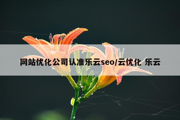 网站优化公司认准乐云seo/云优化 乐云