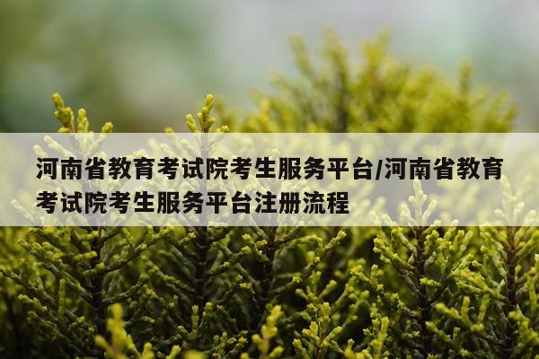 河南省教育考试院考生服务平台/河南省教育考试院考生服务平台注册流程