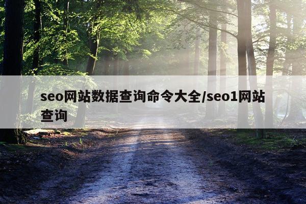 seo网站数据查询命令大全/seo1网站查询