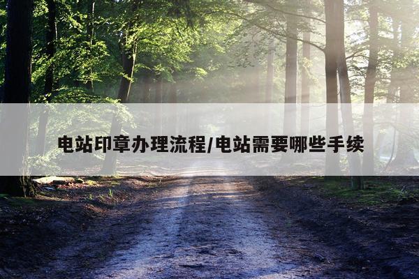 电站印章办理流程/电站需要哪些手续