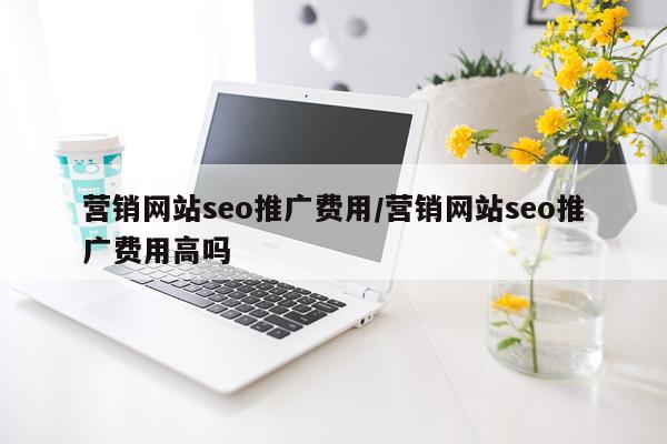营销网站seo推广费用/营销网站seo推广费用高吗