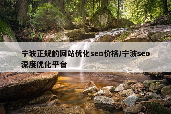 宁波正规的网站优化seo价格/宁波seo深度优化平台