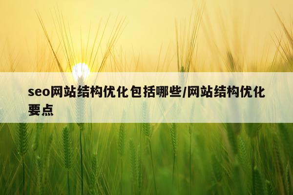 seo网站结构优化包括哪些/网站结构优化要点