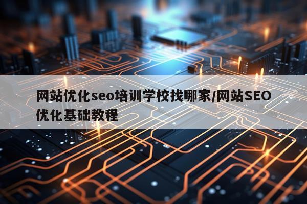 网站优化seo培训学校找哪家/网站SEO优化基础教程