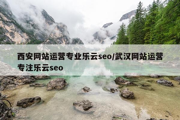 西安网站运营专业乐云seo/武汉网站运营专注乐云seo