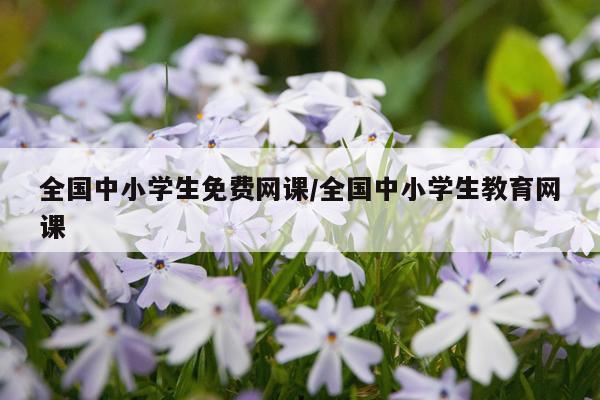 全国中小学生免费网课/全国中小学生教育网课