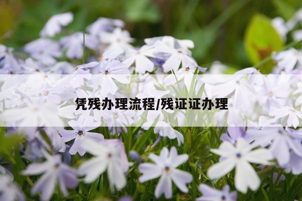 凭残办理流程/残证证办理