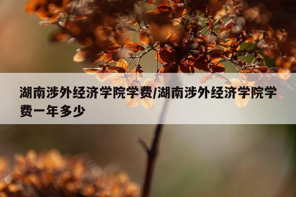 湖南涉外经济学院学费/湖南涉外经济学院学费一年多少