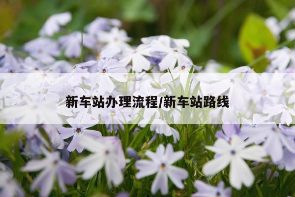 新车站办理流程/新车站路线