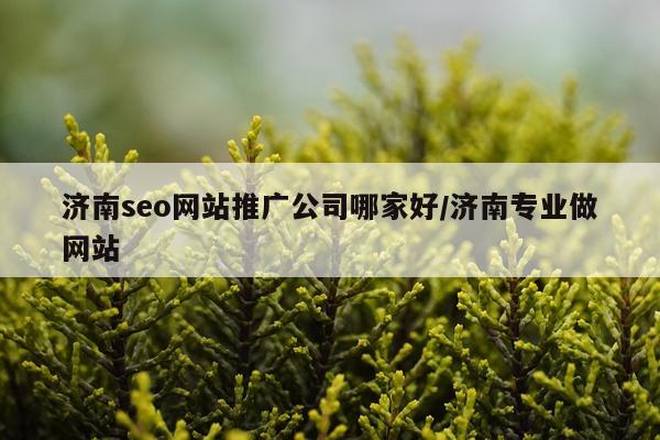 济南seo网站推广公司哪家好/济南专业做网站